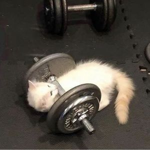 Meet your Posher, Deanna